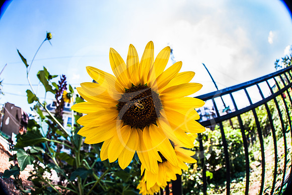 Philly16 (246 of 261)