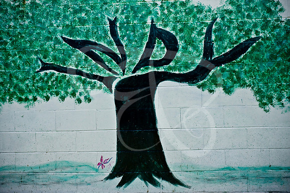 Monon (29 of 51)