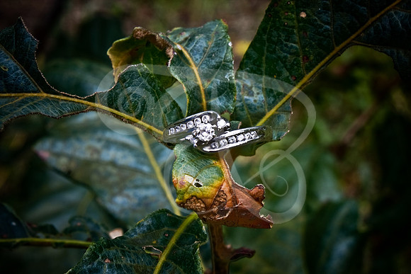 Engaged2-01