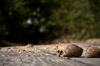 While Walking