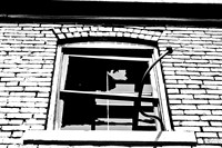 Building-02