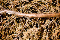S Monon (37 of 134)