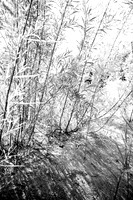 S Monon (63 of 134)