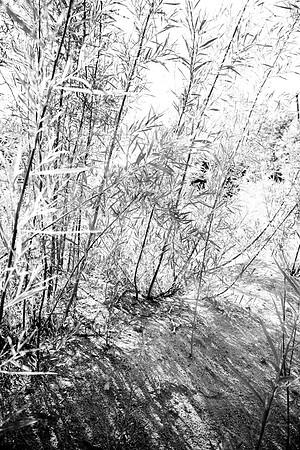 S Monon (63 of 134)