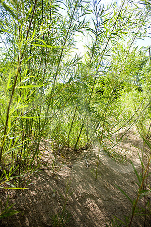 S Monon (62 of 134)