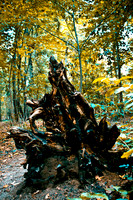 Fall (11 of 229)