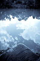 Fall (20b of 229)