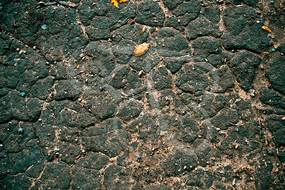 Fall (50 of 229)