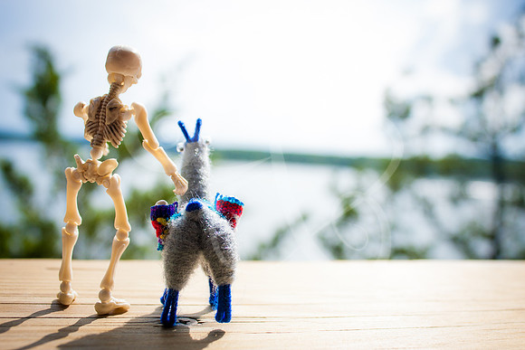 B&L17 (5 of 66)