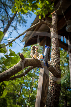 B&L17 (23 of 66)