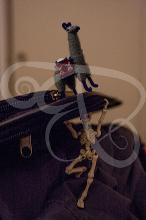 B&L17 (39 of 66)