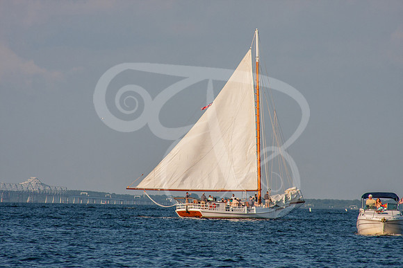 WNR2020-265
