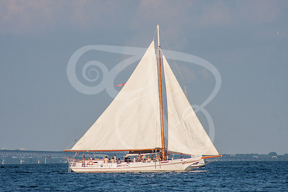 WNR2020-269