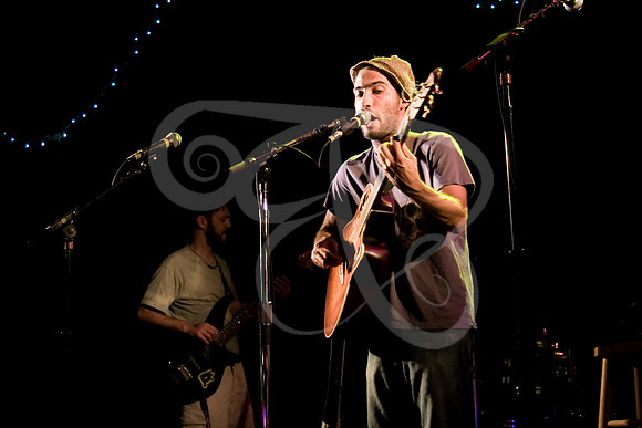 Birdys (41 of 69)