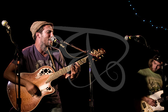 Birdys (17 of 69)