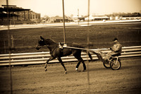 Harness Racing