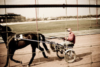 Horses (1 of 4)